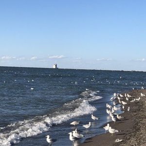 Meet your Posher, Sanghee